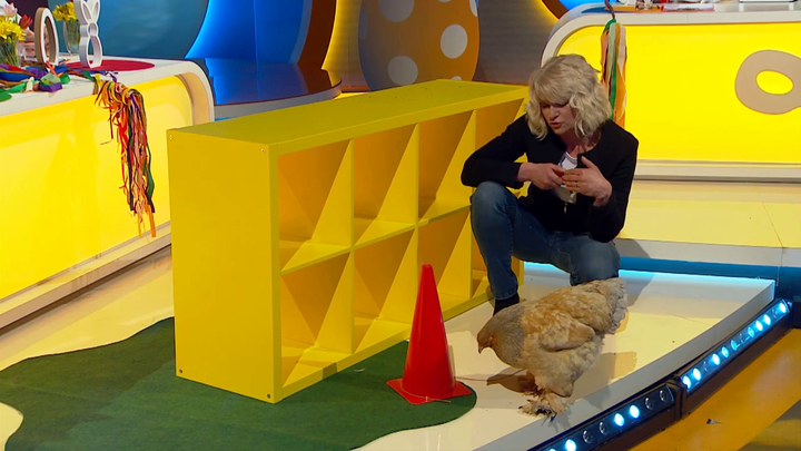 INKO - trenerka sliepok